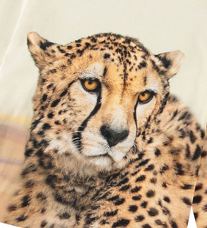 Molo Bluse - Rollo - Big Cheetah Light