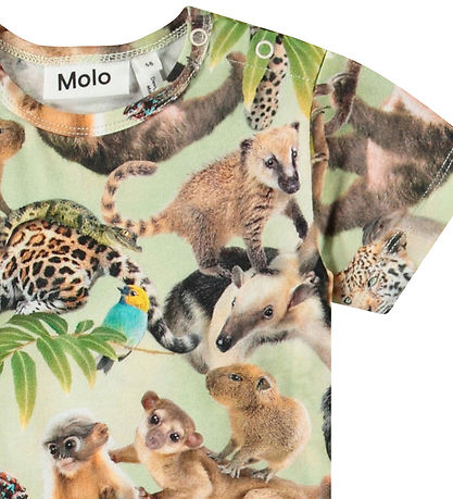 Molo Sommerdragt - Finn - Jungle Cubs