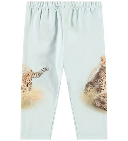 Molo Bukser - Simway - Cheetahs Cute