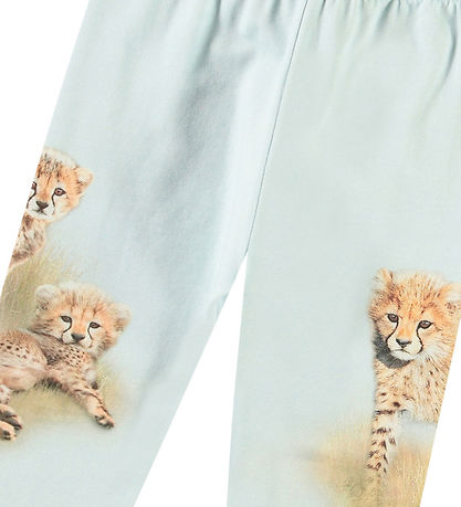Molo Bukser - Simway - Cheetahs Cute
