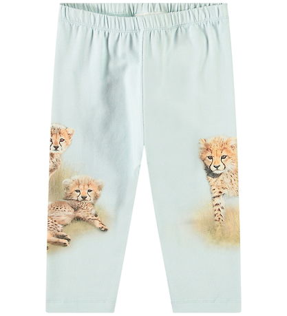 Molo Bukser - Simway - Cheetahs Cute