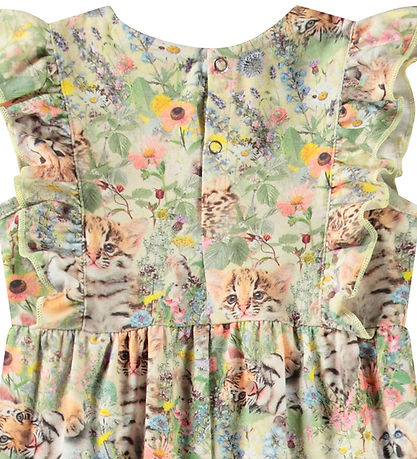 Molo Heldragt - Fallon - Meadow Cubs
