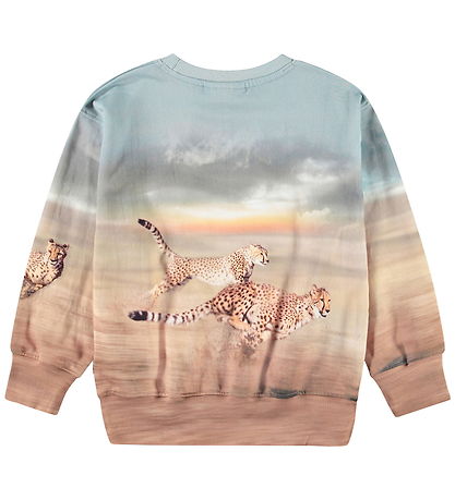 Molo Sweatshirt - Mattis - Running Cheetahs