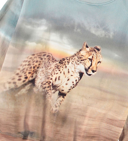 Molo Sweatshirt - Mattis - Running Cheetahs