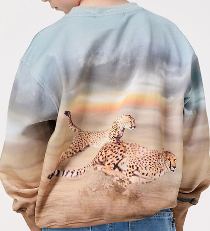Molo Sweatshirt - Mattis - Running Cheetahs