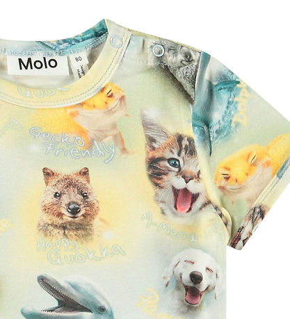 Molo T-shirt - Easy - Smiling Cubs