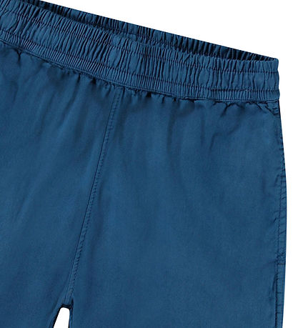 Molo Shorts - Arrow - Best Blue