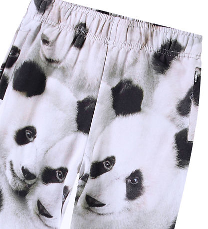 Molo Sweatpants - Adan - Giant Panda