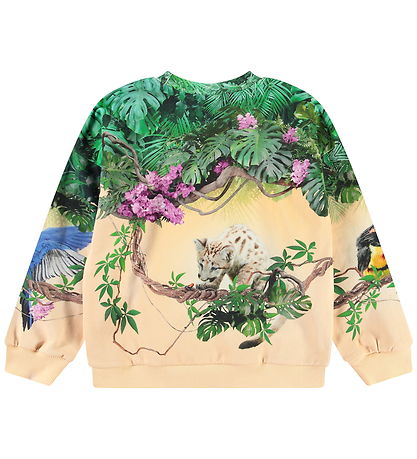 Molo Sweatshirt - Maxi - Pumatastic