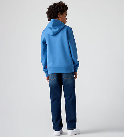 Levis Jeans - 555 Relaxed Straight - Sierra Pass