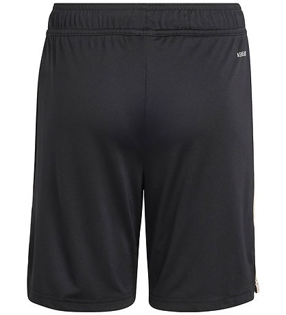 adidas Originals Shorts - FC Bayern München 25/26 3. Sæt - Sort