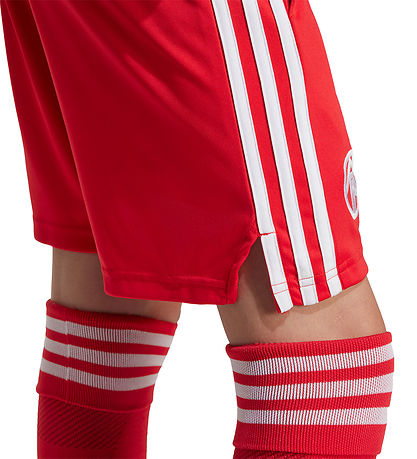 adidas Originals Shorts - FC Bayern München 25/26 - Pure Ruby