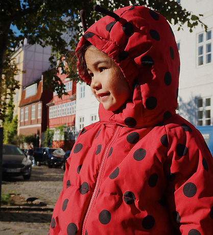 Konges Sløjd Dynejakke - Nuka - Ladybug - Lady Dot