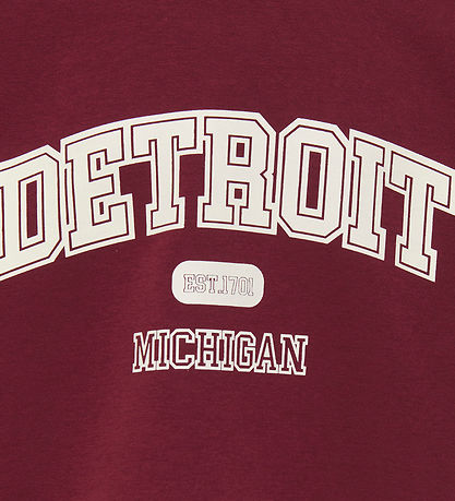 Kids Only Sweatshirt - KogVictory - Cabernet/Detroit/Cloud Dance