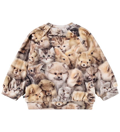 Molo Sweatshirt - Disc - Fuzzy Fluffy