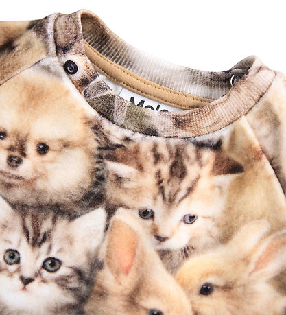 Molo Sweatshirt - Disc - Fuzzy Fluffy