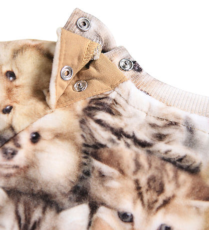 Molo Sweatshirt - Disc - Fuzzy Fluffy