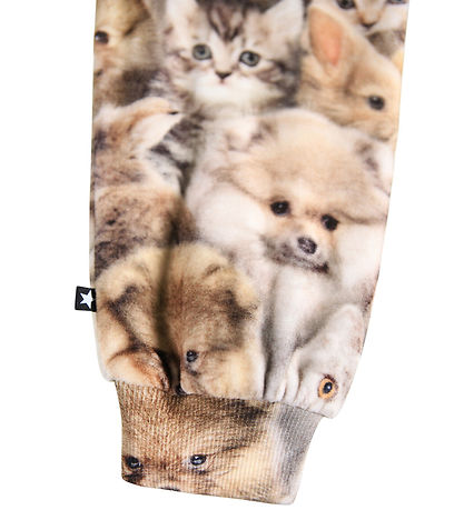 Molo Sweatpants - Simeon - Fuzzy Fluffy