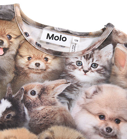 Molo Bluse - Rose - Fuzzy Fluffy