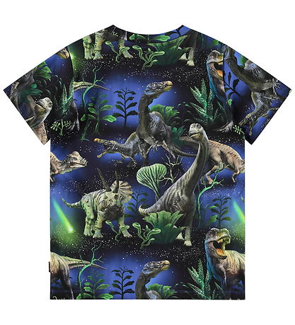 Molo T-shirt - Ralphie - Dinorama
