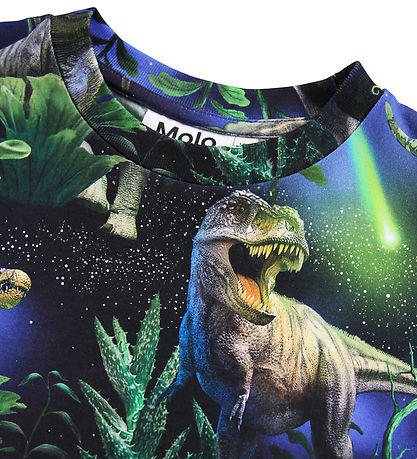 Molo T-shirt - Ralphie - Dinorama