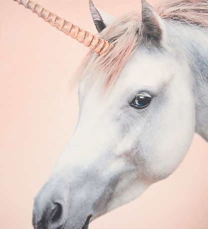 Molo Sweatshirt - Mountoo - Born a Unicorn