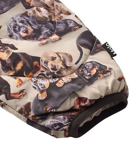 Molo Termobukser - Percy - Dashshund Soft