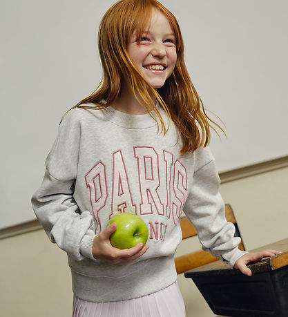Abercrombie & Fitch Sweatshirt - Light Grey Heather/Rosa