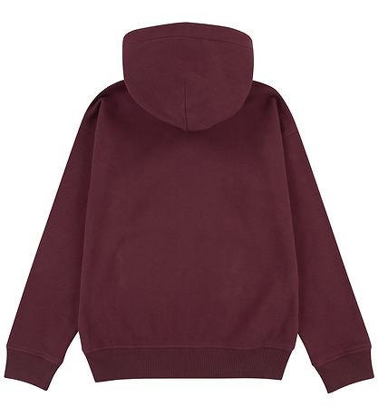 Abercrombie & Fitch Hættetrøje - Fig
