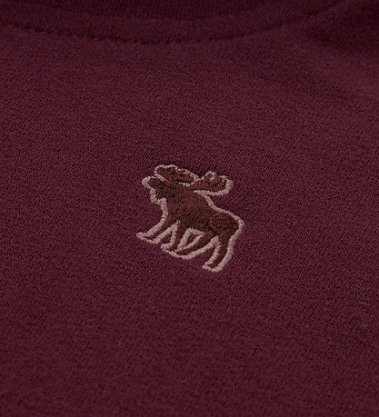 Abercrombie & Fitch Hættetrøje - Fig