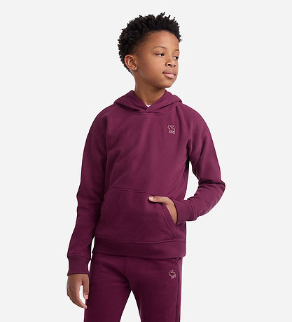 Abercrombie & Fitch Hættetrøje - Fig