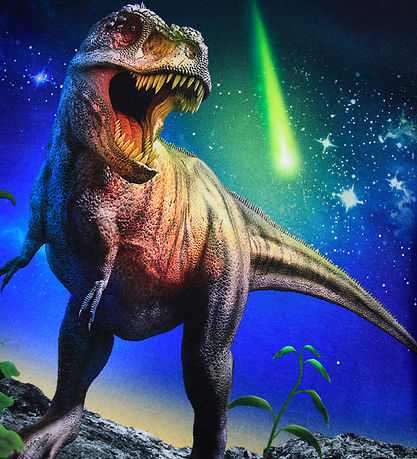Molo Bluse - Reif - Meteor Dino