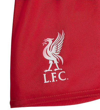 adidas Performance Fodboldsæt - Liverpool 25/26 Hjemmebane - Str