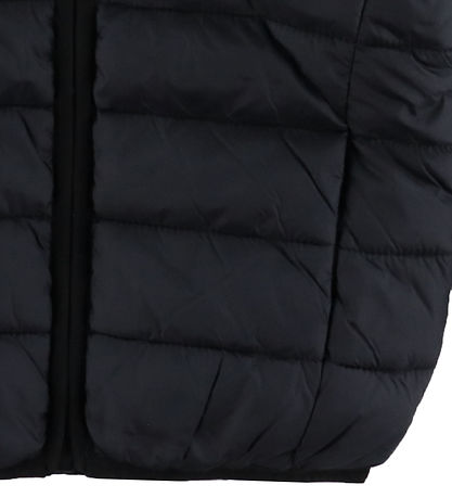 Timberland Dynevest - Sort