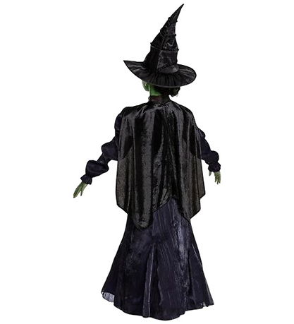 Disguise Udklædning - Wicked - Elphaba