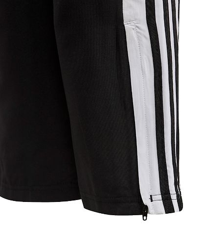 adidas Performance Trningsbukser - Squadra 21 Pre - Sort/Hvid