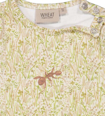 Wheat x Rodinia Body l/ - Limited - Watercolor Grassland