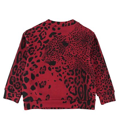 Dolce & Gabbana Sweatshirt - Animalier - Rd Leo