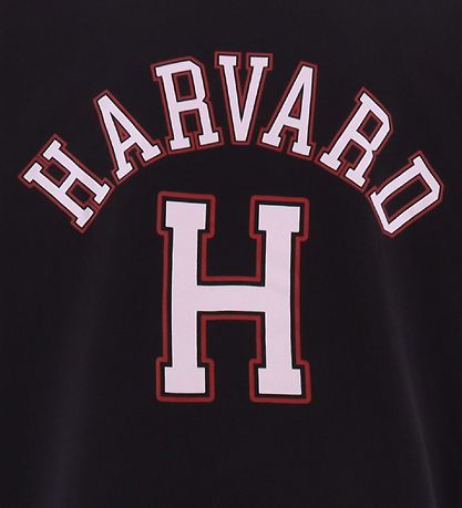 Champion Fashion T-shirt - Havard H - Sort