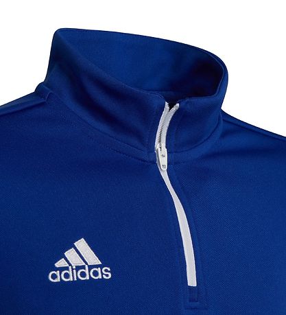 adidas Performance Trningstrje - Royal Blue