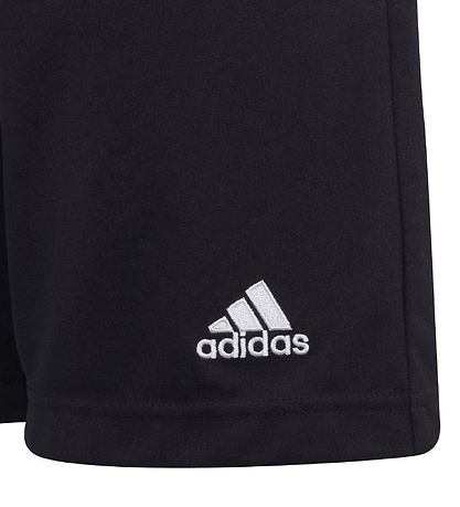 adidas Performance Shorts - Entrada 22 - Sort