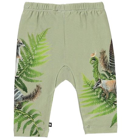 Molo Bukser - Sabb - Fern Climbers
