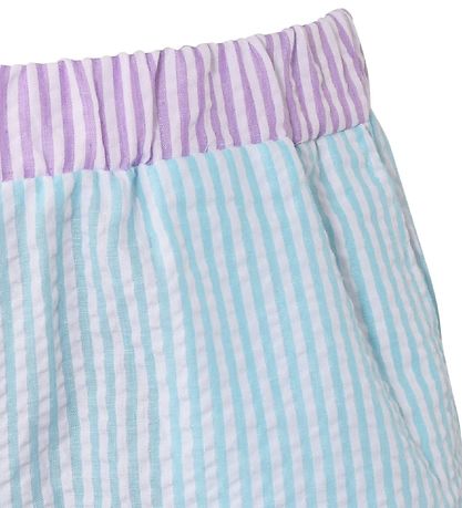 Hound Shorts - Stripe  - Light Blue