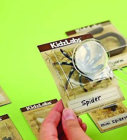 4M Grave-sæt - KidzLabs - Uhyggelig Krybende Grave-Sæt