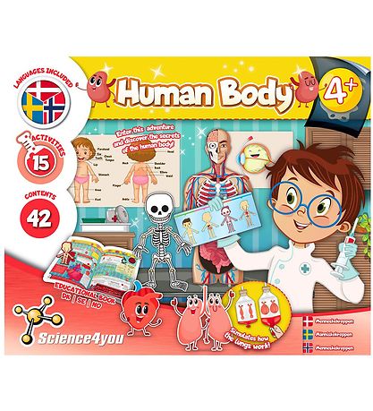 Liniex Science4you St - Human Body