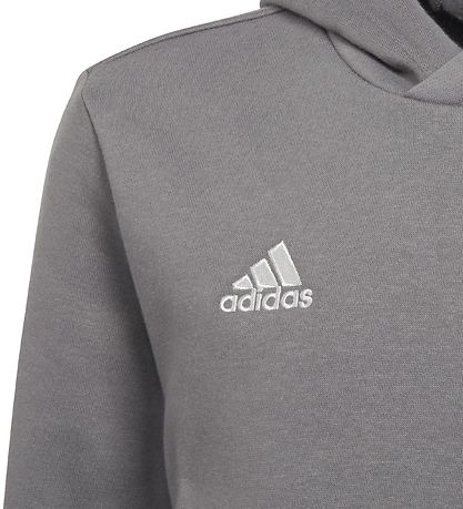 adidas Performance Httetrje - Team Grey Four