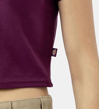 Dickies T-shirt - Maple Valley - Grape Wine