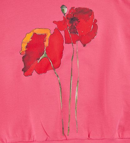 Soft Gallery Sweatshirt - 3/4 rmer - SgGeneva - Camelia Rose