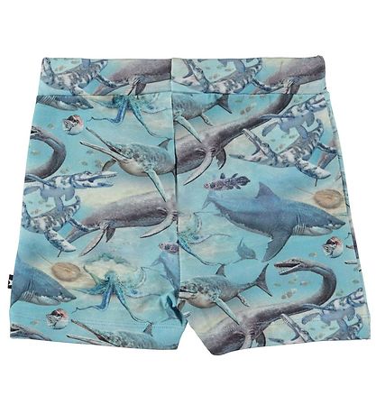 Molo Shorts - Simroy - Ancient Ocean