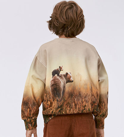 Molo Sweatshirt - Mattis - Bear Life